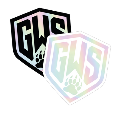 HOLOGRAPHIC STICKERS 3.5" - 100 PCS