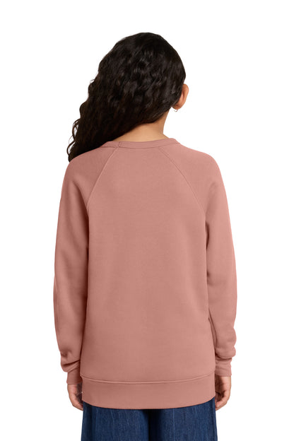 BELLA+CANVAS Youth Sponge Fleece Raglan Sweatshirt BC3901Y