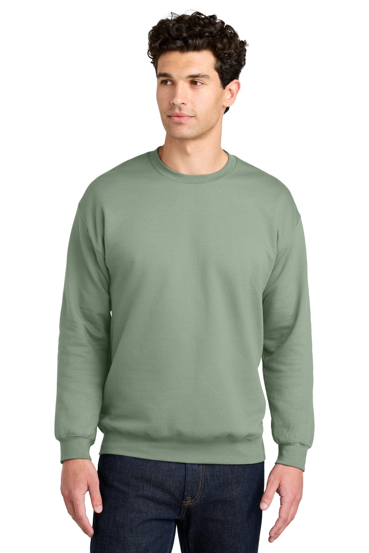Gildan Softstyle Crewneck Sweatshirt SF000